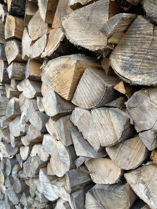 Drewno suche buk sezonowane