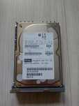 Dysk serwerowy FUJITSU 73GB 10K SCSI MAP3735NC-U4