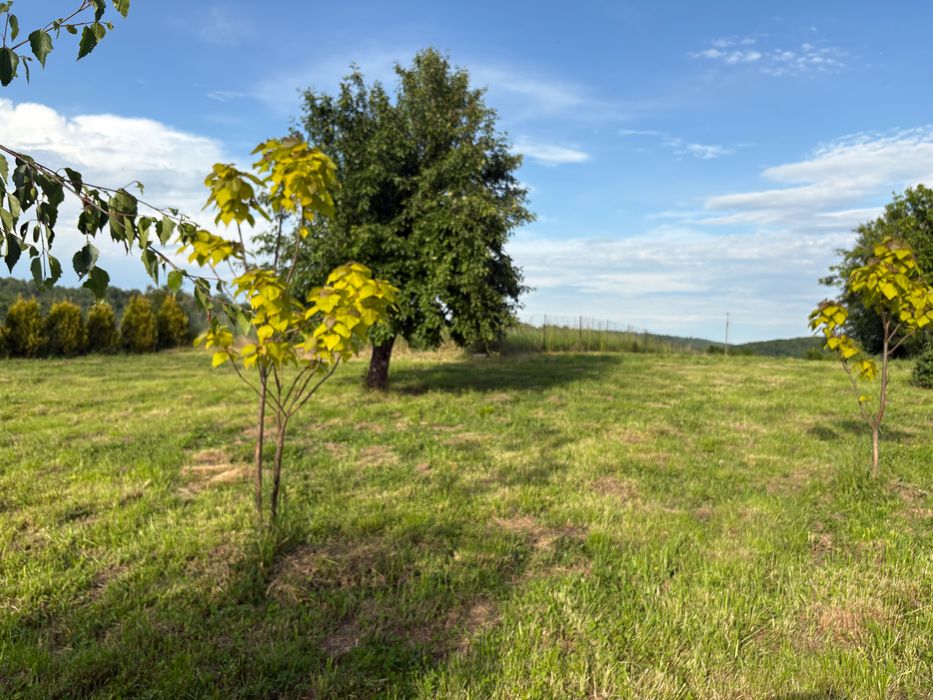 Kwaczała działka 4948 m²ogrodzona z mediami, garażem i ogrodem 5min a4