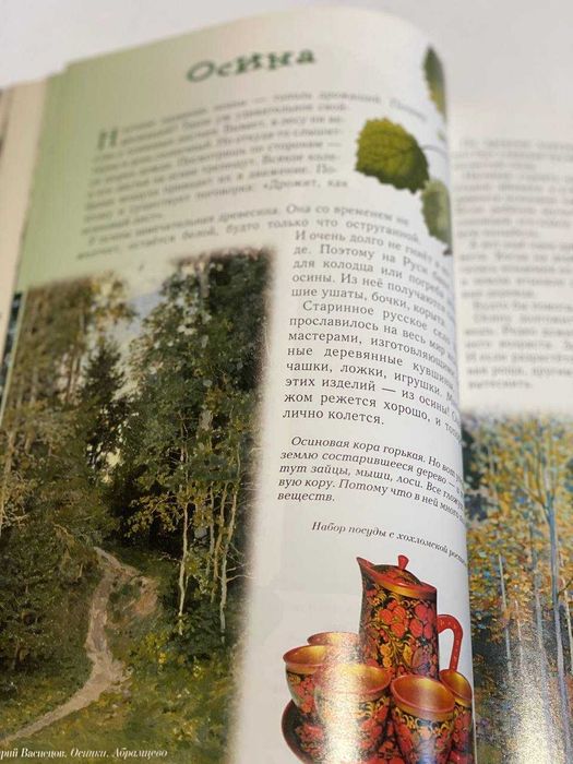 Прогулки по лесу Книга травник для детей