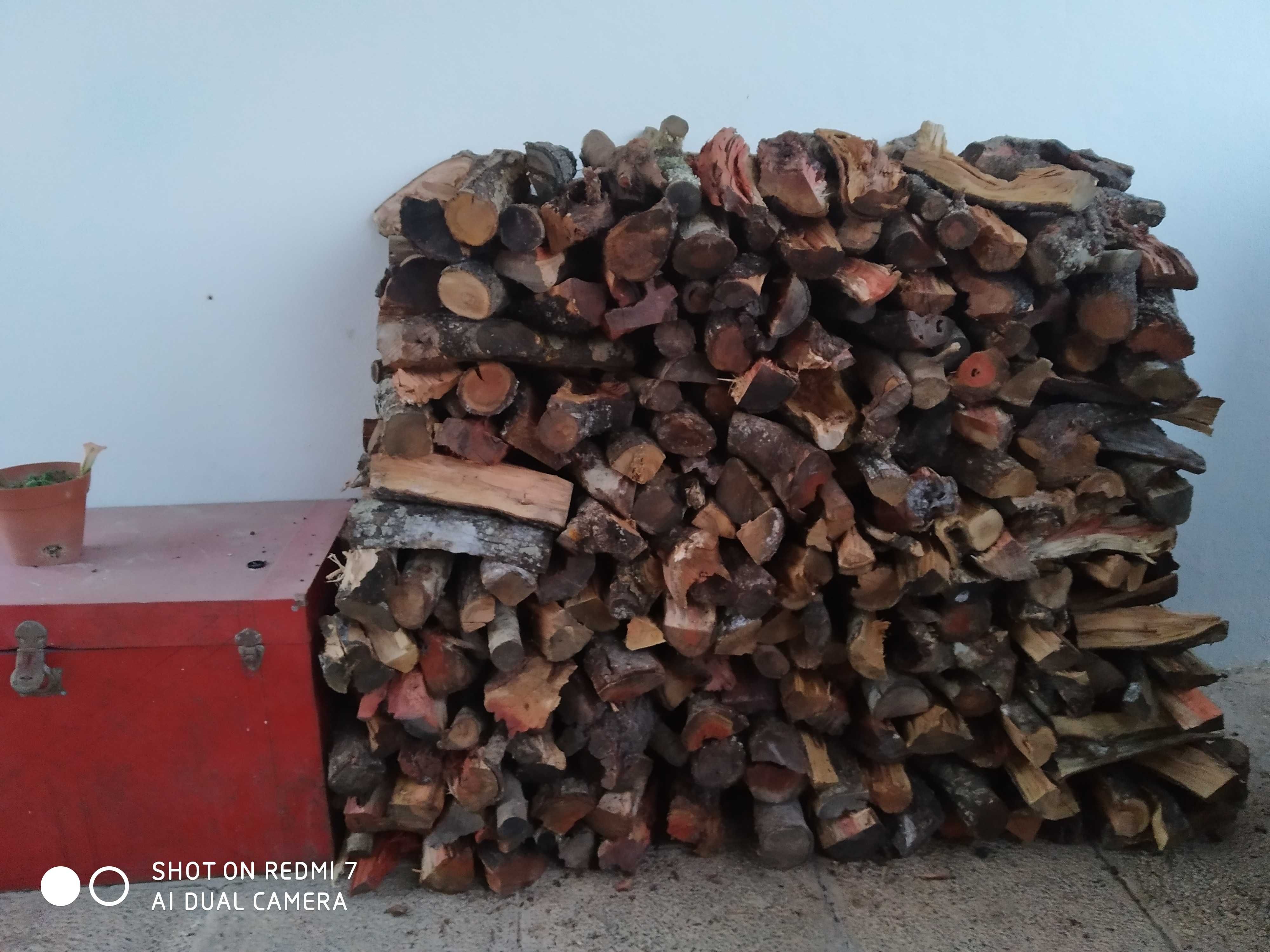 Lenha /Firewood para lareiras