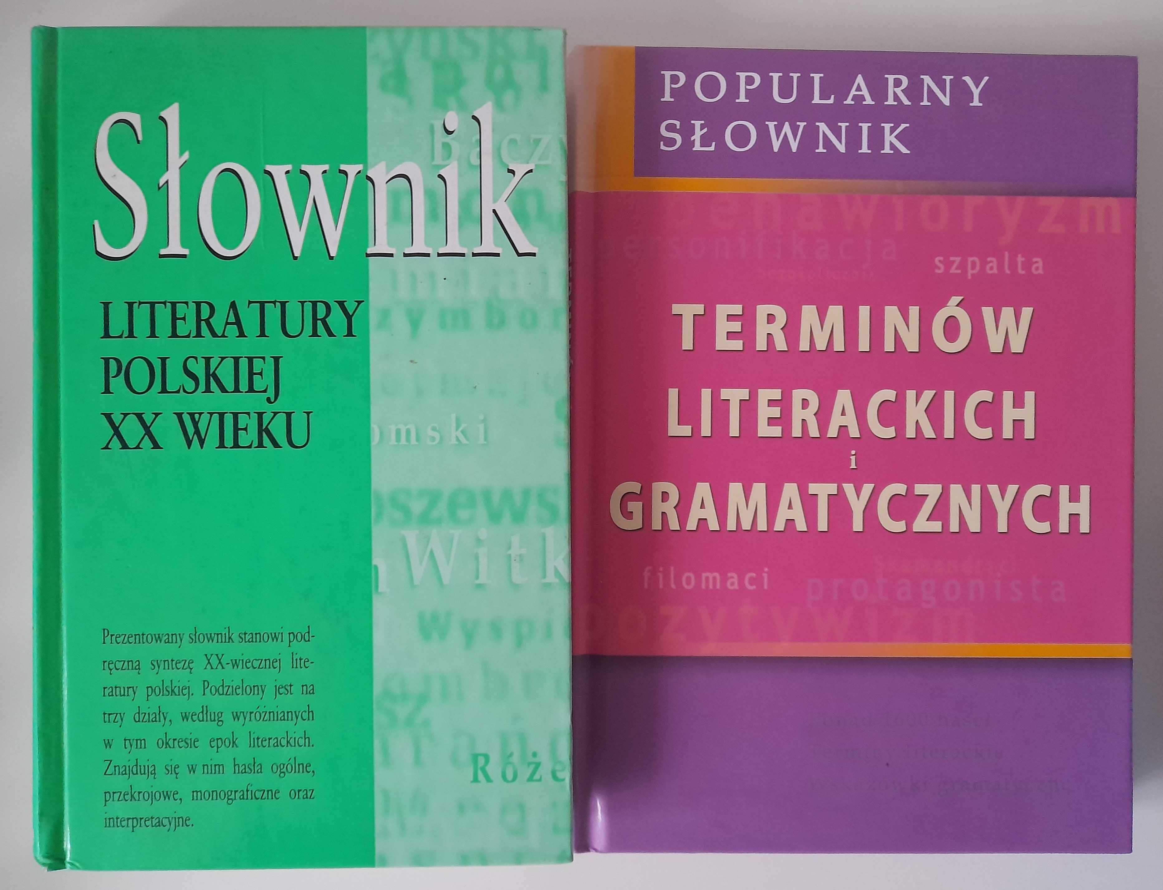 Słownik literatury polskiej XX w Słownik terminów literackich + gratis