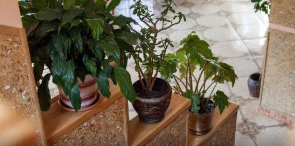 Продаж котеджу в самому серці Карпат. Яремче.