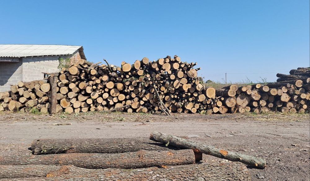 Дрова ОПТОМ та в РОЗДРІБ,  дуб тверді породи доставка. 3-5-10-41 м3