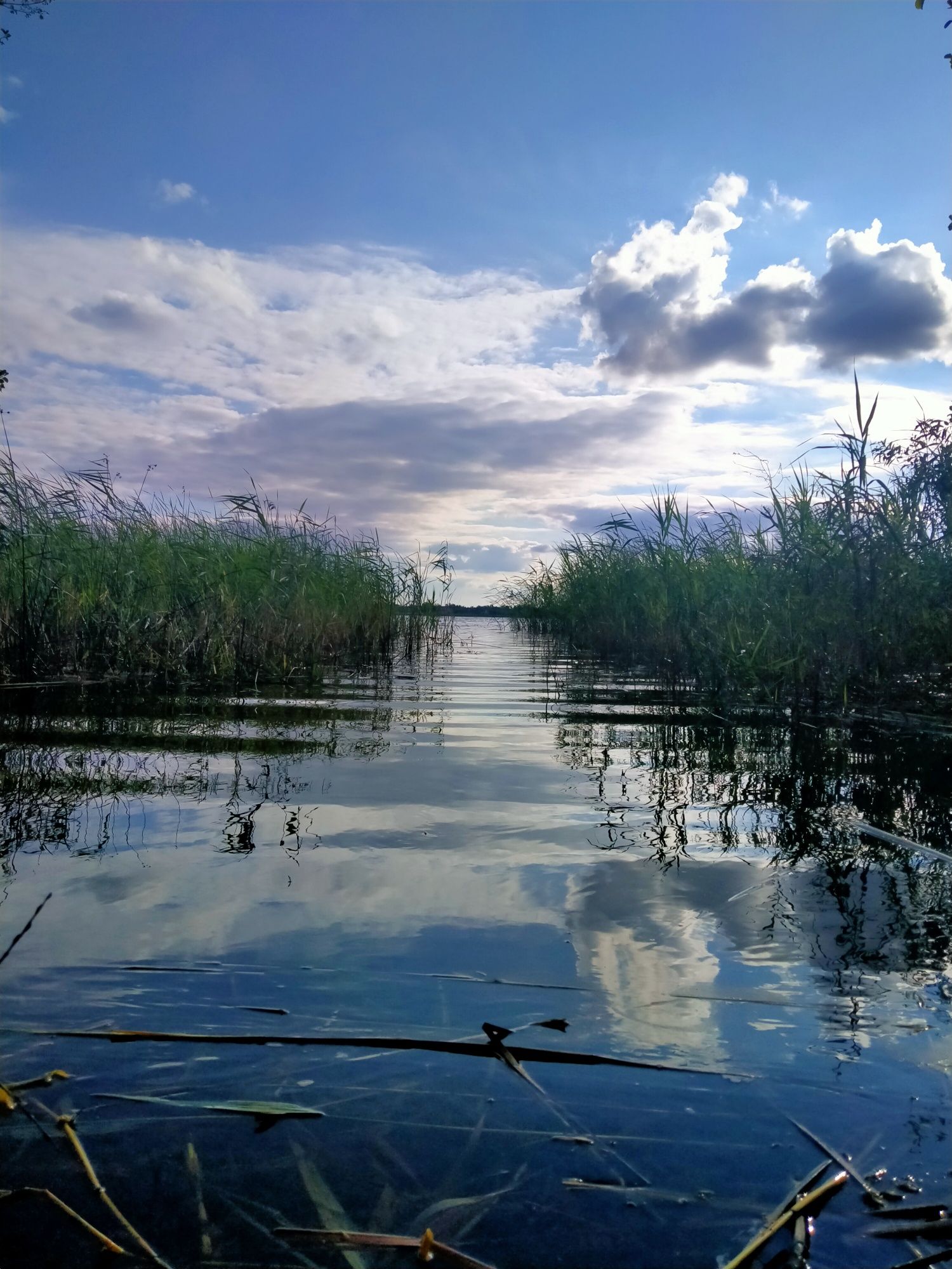 DOMEK nad jeziorem KRASNE CZARNA PERŁA Pojezierze Łęczyńsko-Włodawskie