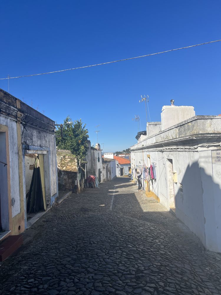 Ruina em Montemor o Novo com desenho aprovado!
