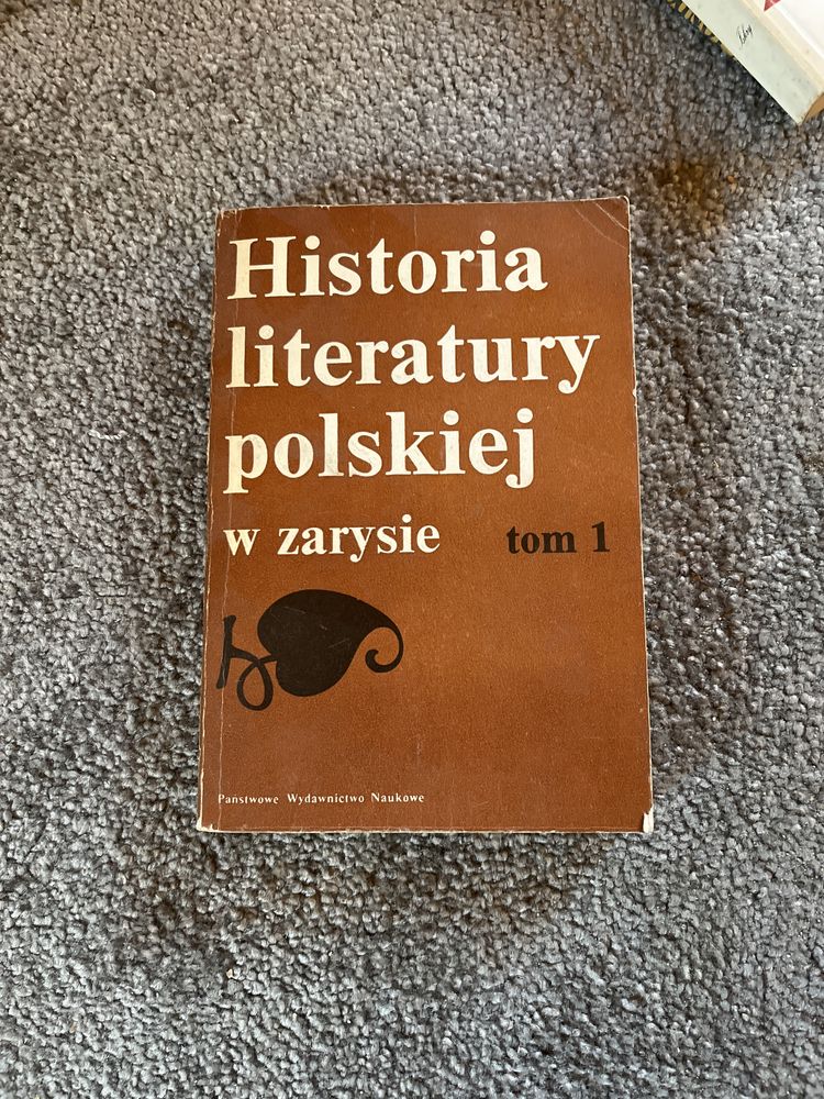 Historia literatury polskiej w zarysie tom 1