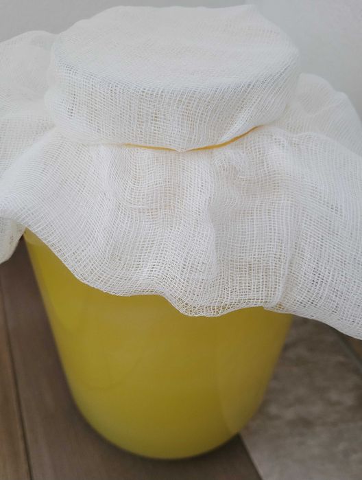 Kwas 500ml Enzymy Bołotowa na koziej serwatce