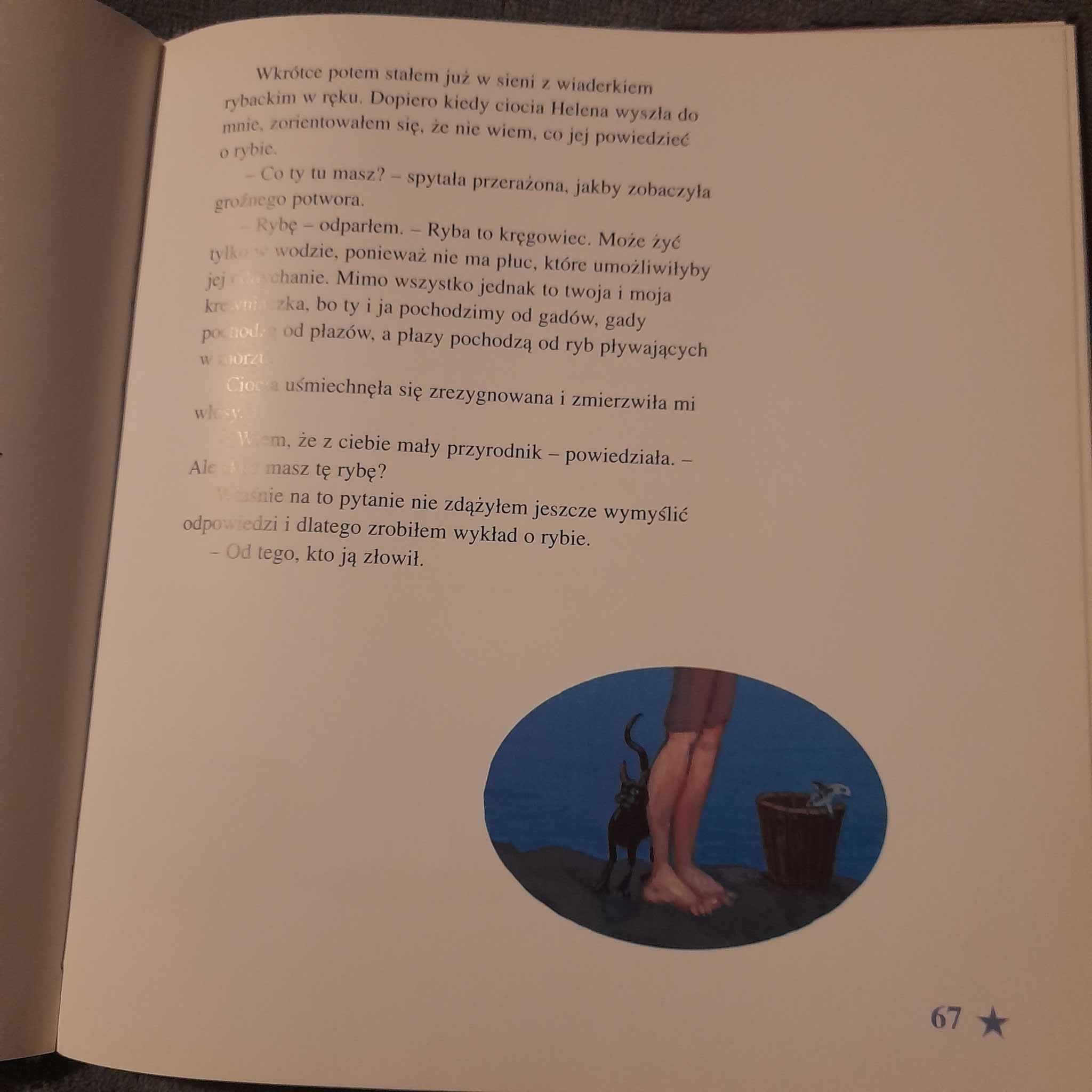 Hej! Czy jest tu kto? - Jostein Gaarder