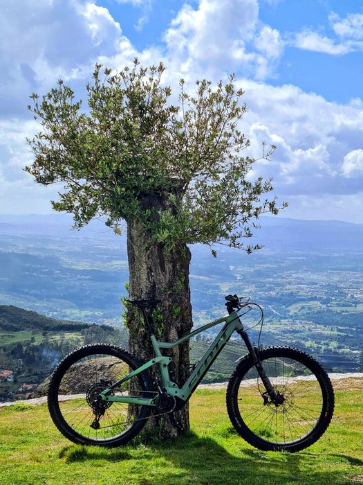 Scott Genius 920 Eride