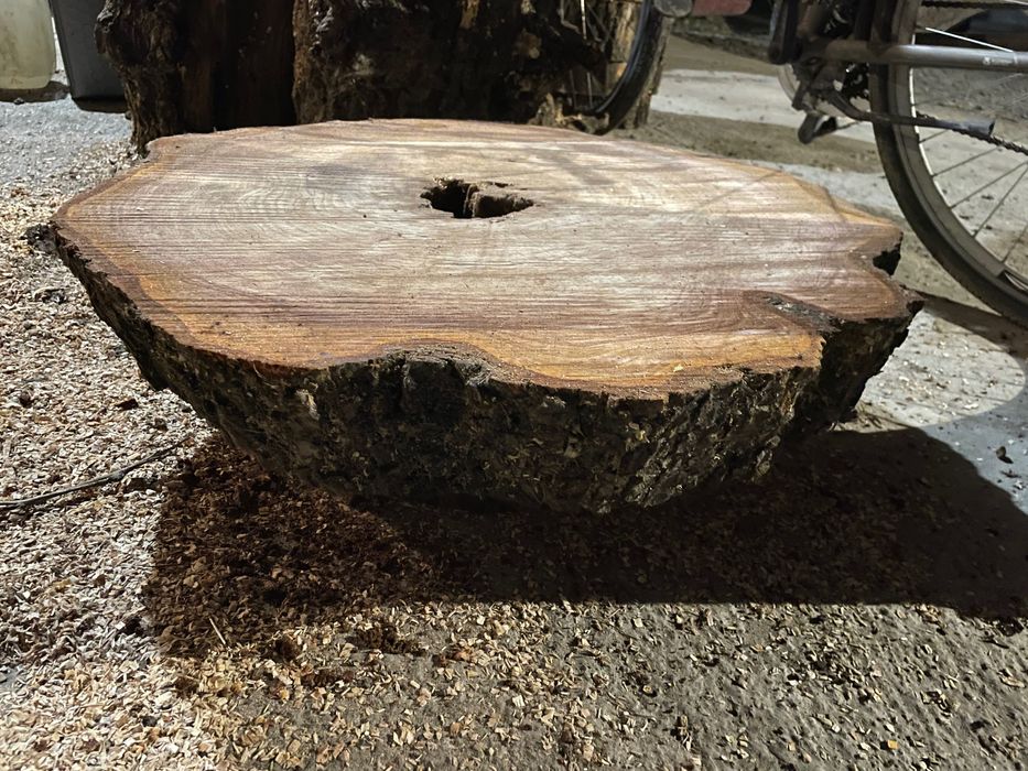 Plastry drewna z drzewa olchowego