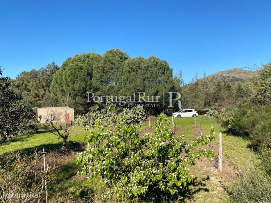 Terreno rústico em Monsanto