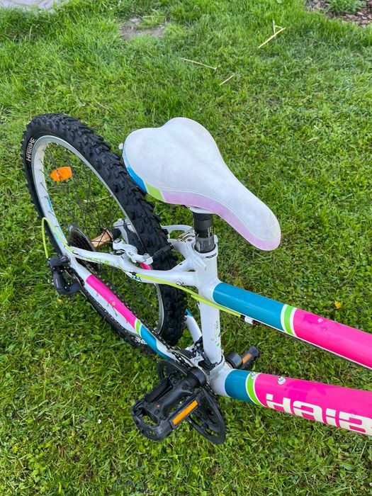 Rower   haibike.