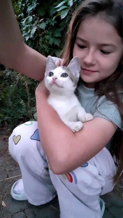 Maleństwo do adopcji