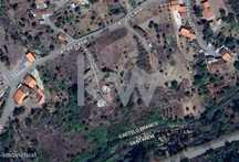 Oportunidade de Investimento em Vila de Rei, Castelo Branco
