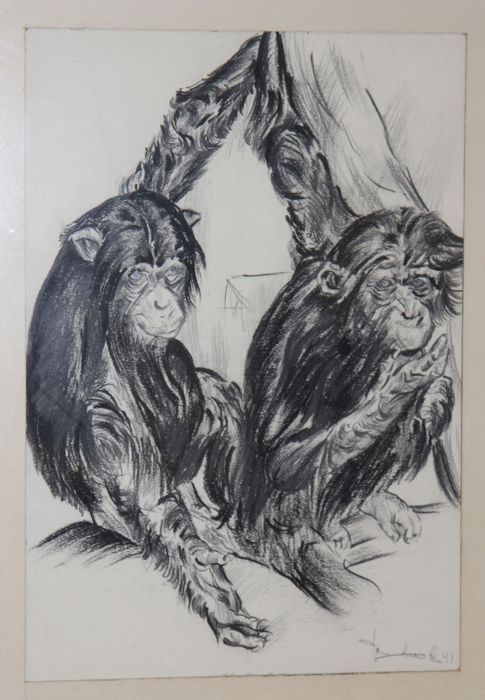 Desenho em carvão vegetal do artista Holandês Van Laere - 1943