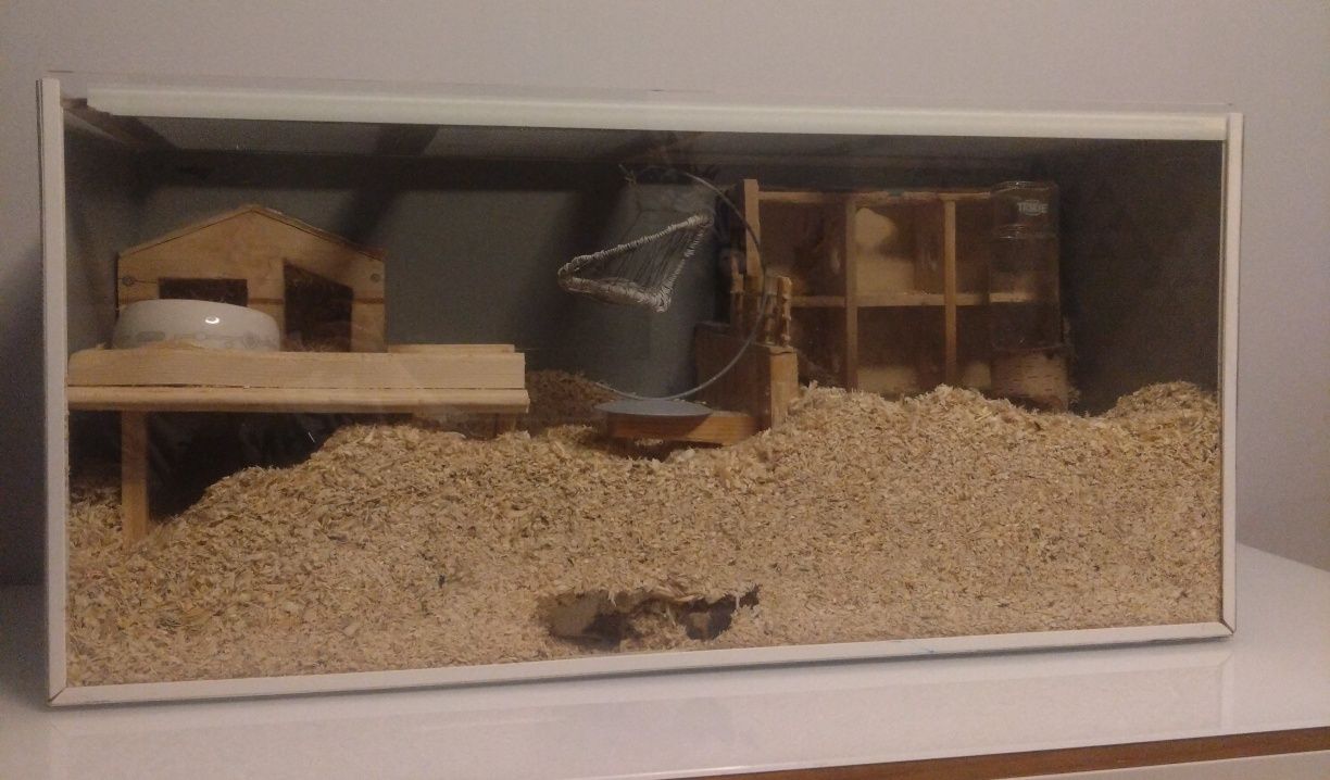 Myszoskoczek klatka akwarium wyposażenie
