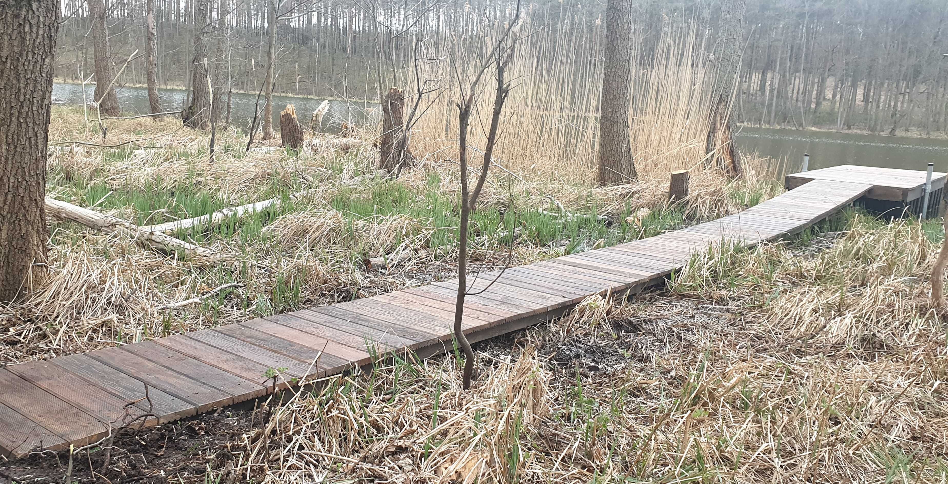 Pomost kładka ścieżka bicie pali palowanie kafar budowa