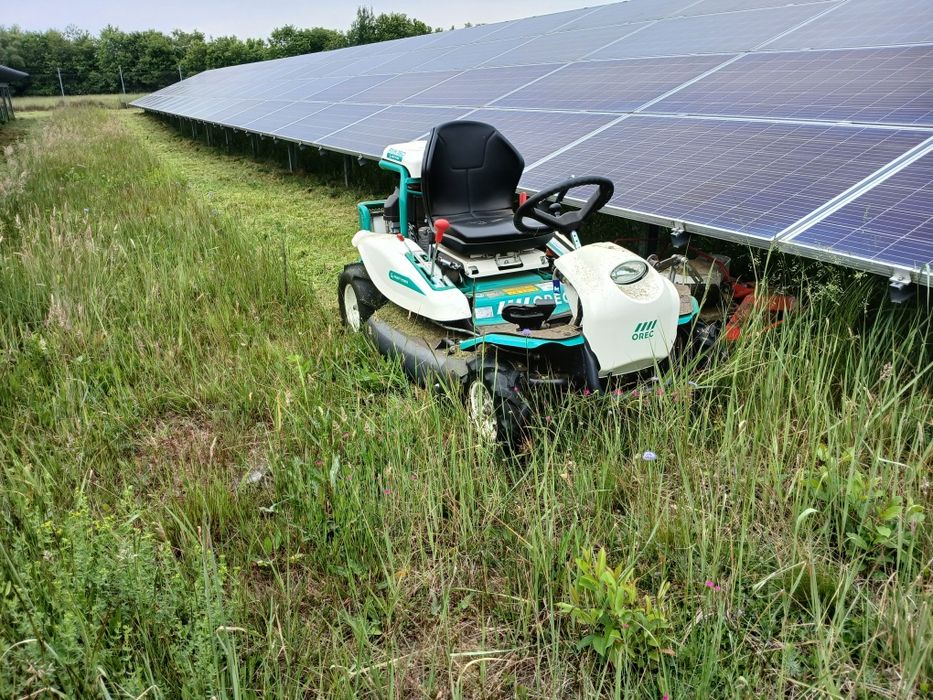 Tanie koszenie farm fotowoltaicznych - szybkie terminy
