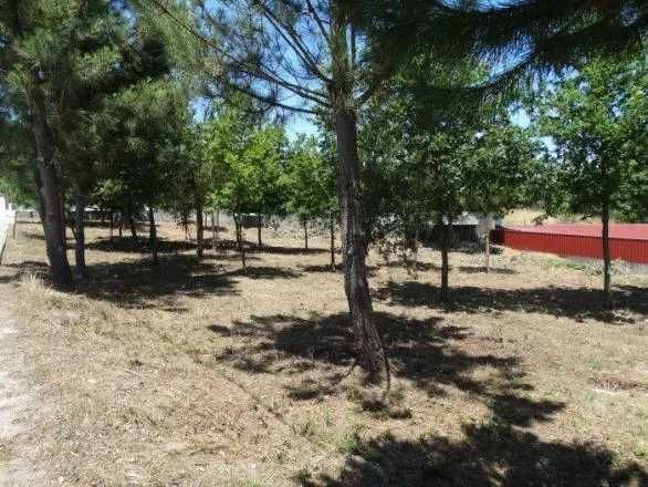 Terreno em Carvalhal Redondo com 1679m²