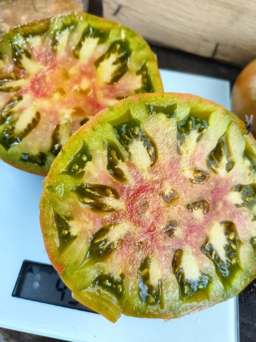 Набір насіння томатів колекційних