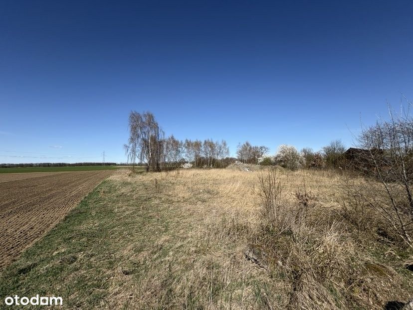 Duża działka - Parlino