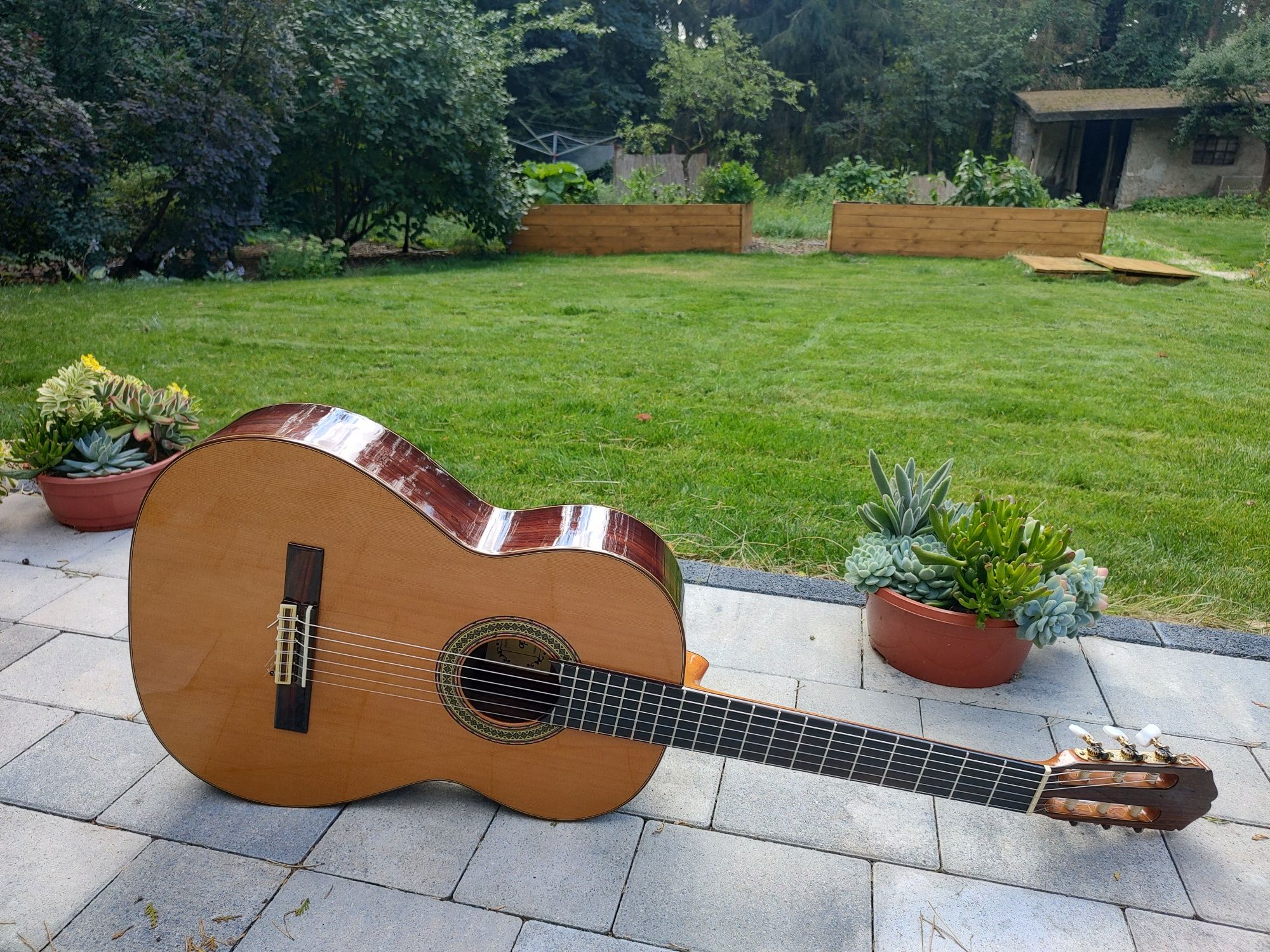 NOWA Raimundo 129 Spain gitara klasyczna THE BEST solid cedar cocobolo