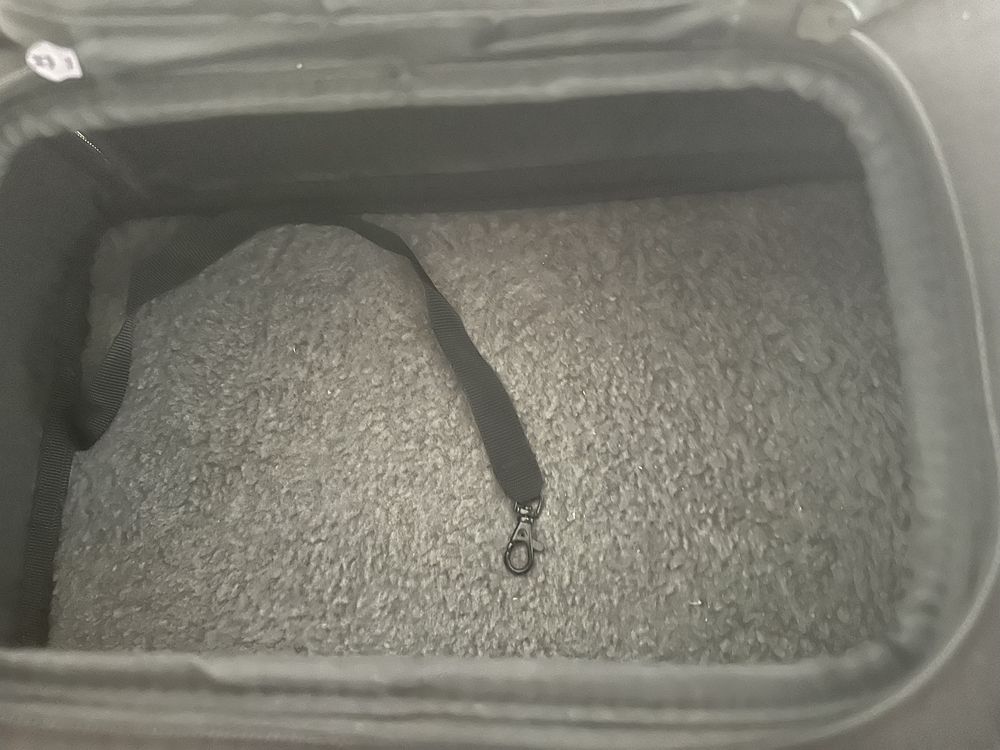Transporter dla psa