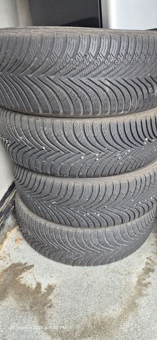 Зимові шини Мішеліни