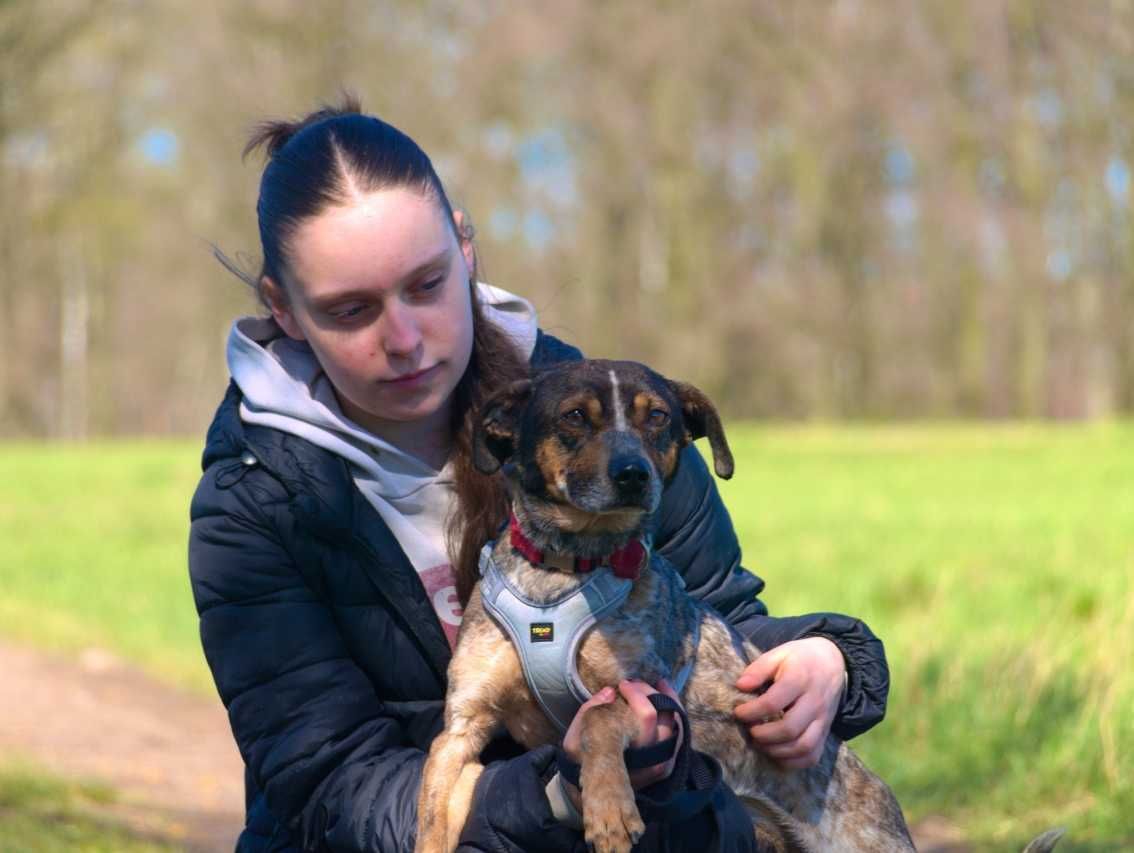 Kosmo - kosmicznie fajny psiak szuka swego miejsca na Ziemi!