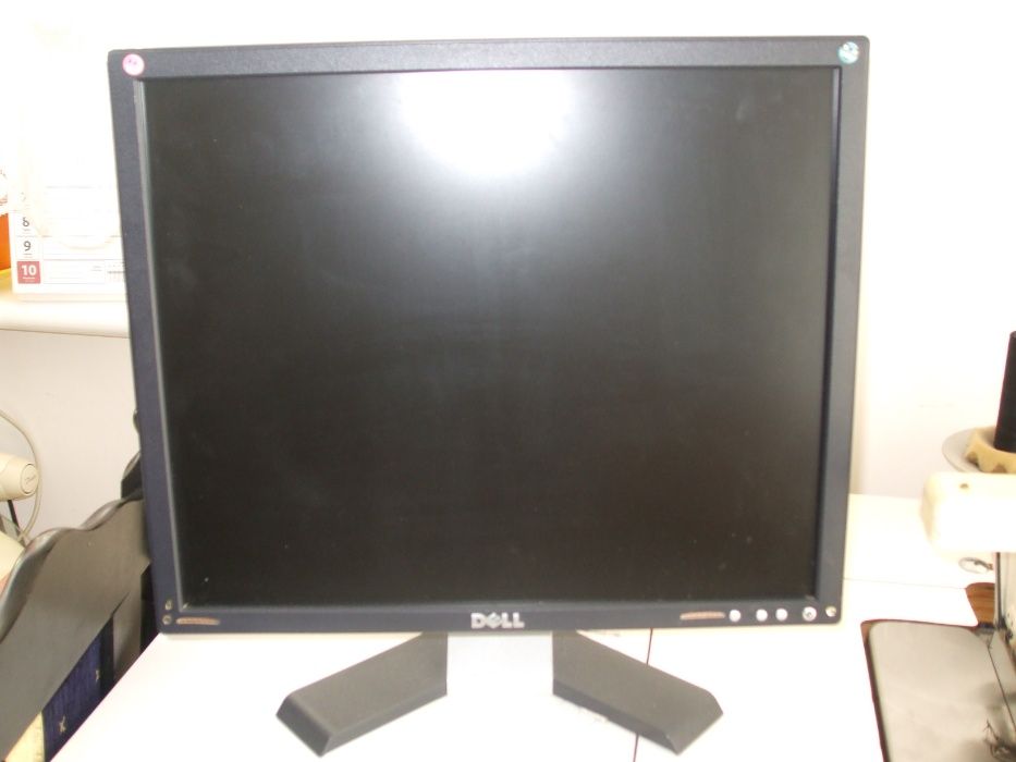 monitor Dell 19cali