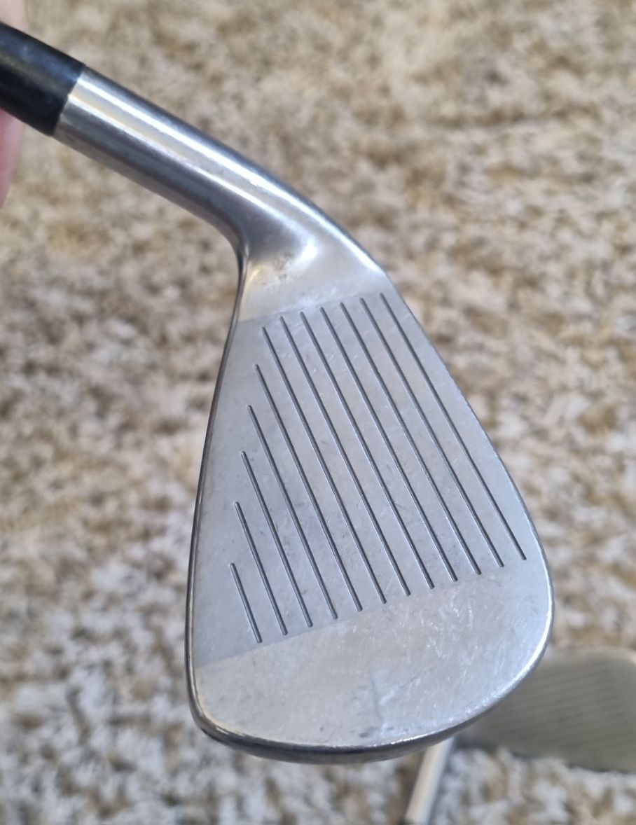 Ferro 5 e 6 Mizuno MX-15 T-ZOID vareta True Temper Dynamic Gold