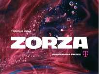 Zorza festiwal Katowice Podsiadło 2 bilety sobota