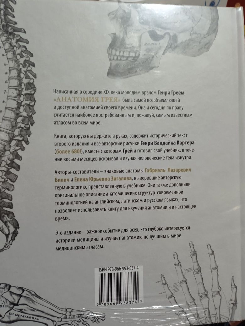 Анатомия Грея.Анатомические структуры . На английском, латинском и рус