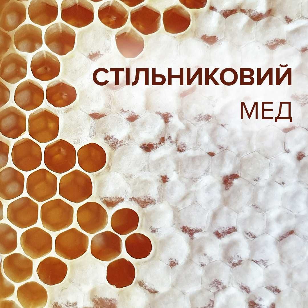 Стільниковий мед | Сотовый мед | Гречаний | Різнотрав'я | Пилок | Віск