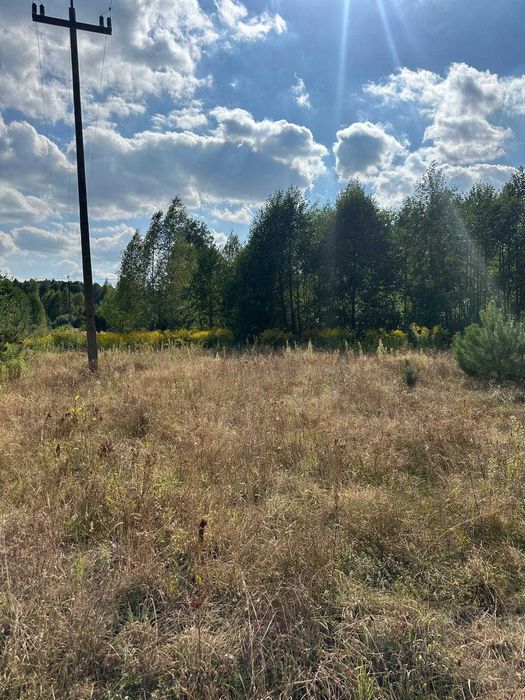 Działka 5100m2 pod lasem, siedlisko