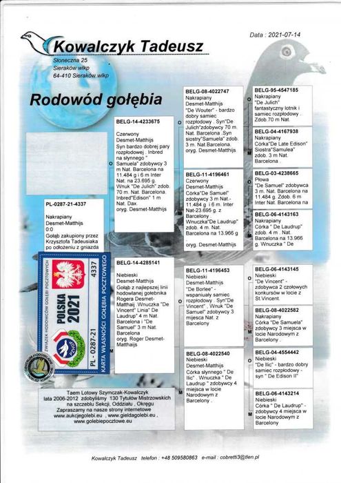 Gołębie pocztowe Gołąb Samice ;2021  Desmet Matthijs  rodowodem