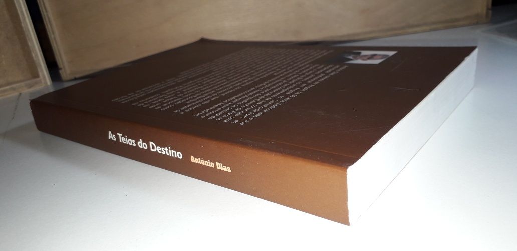 As Teias do Destino - António Dias (2008)