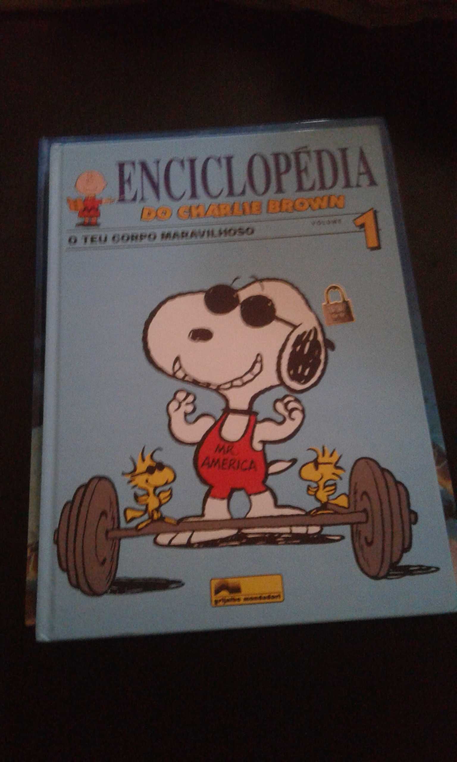 2 livros novos juvenis snoopy Charlie Brown