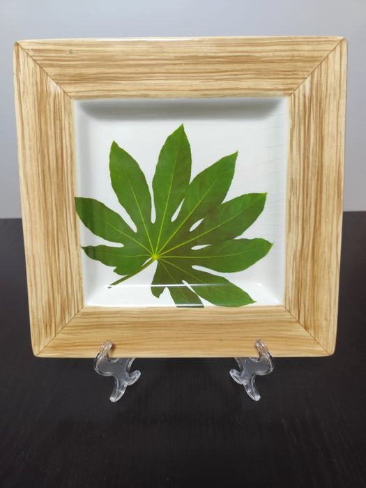 Prato decorativo - Raul da Bernarda (Cerâmica Portuguesa)