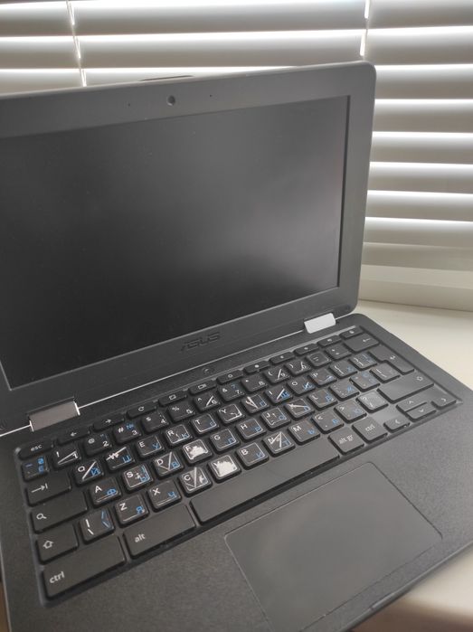 Хромбук Asus Chromebook Flip C213N