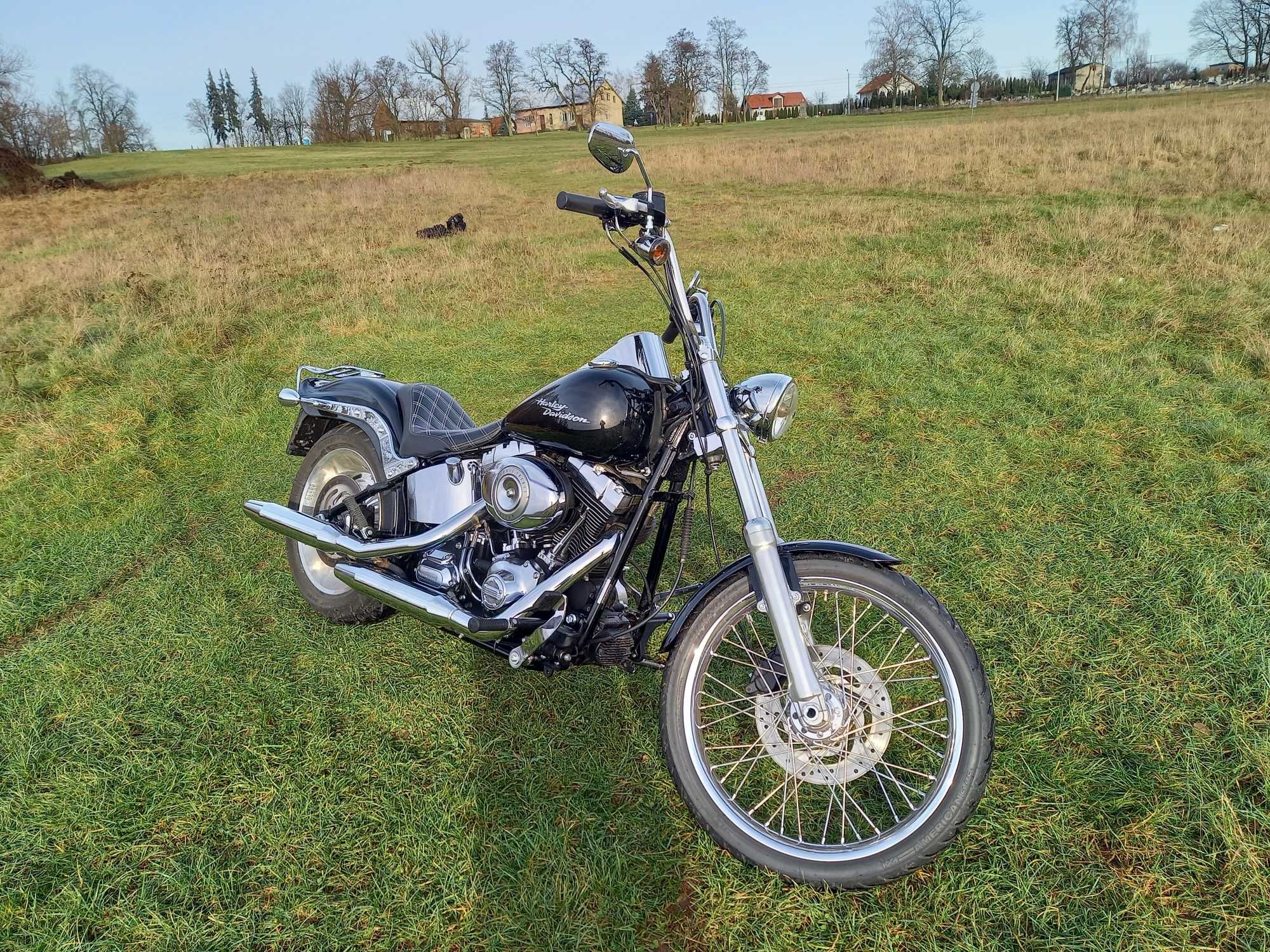 Harley Davidson FXSTC Softail Custom