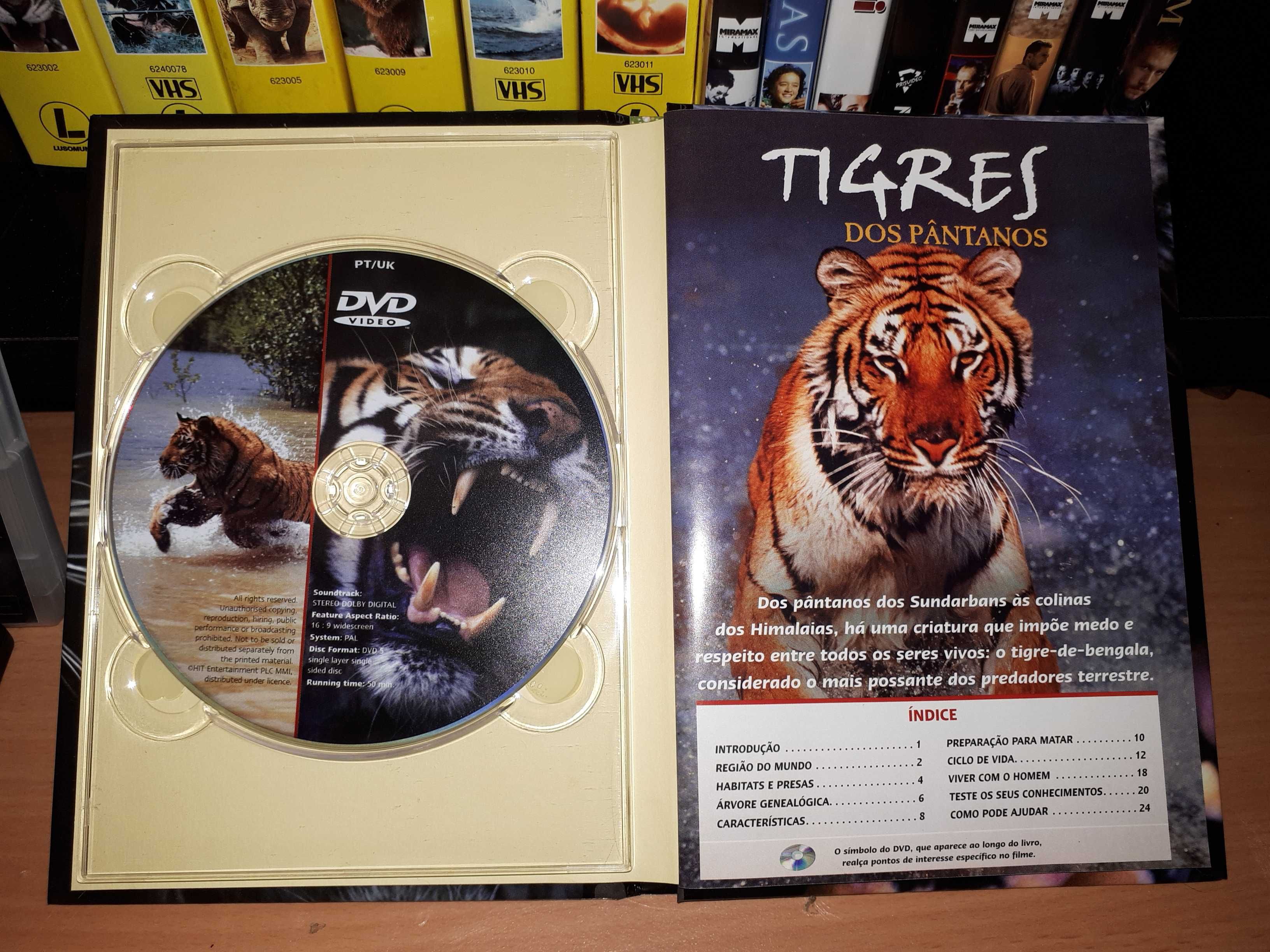 DVD Tigres dos Pântanos