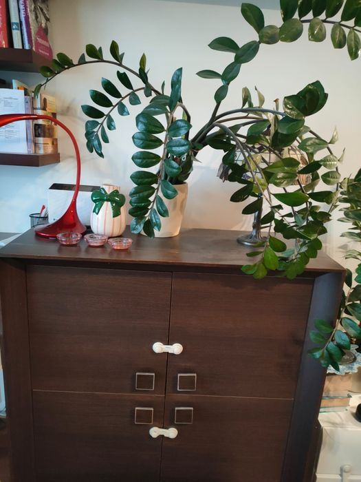 Zestaw mebli: witryna, komoda, szafka rtv, szafka wisząca. Kolor wenge