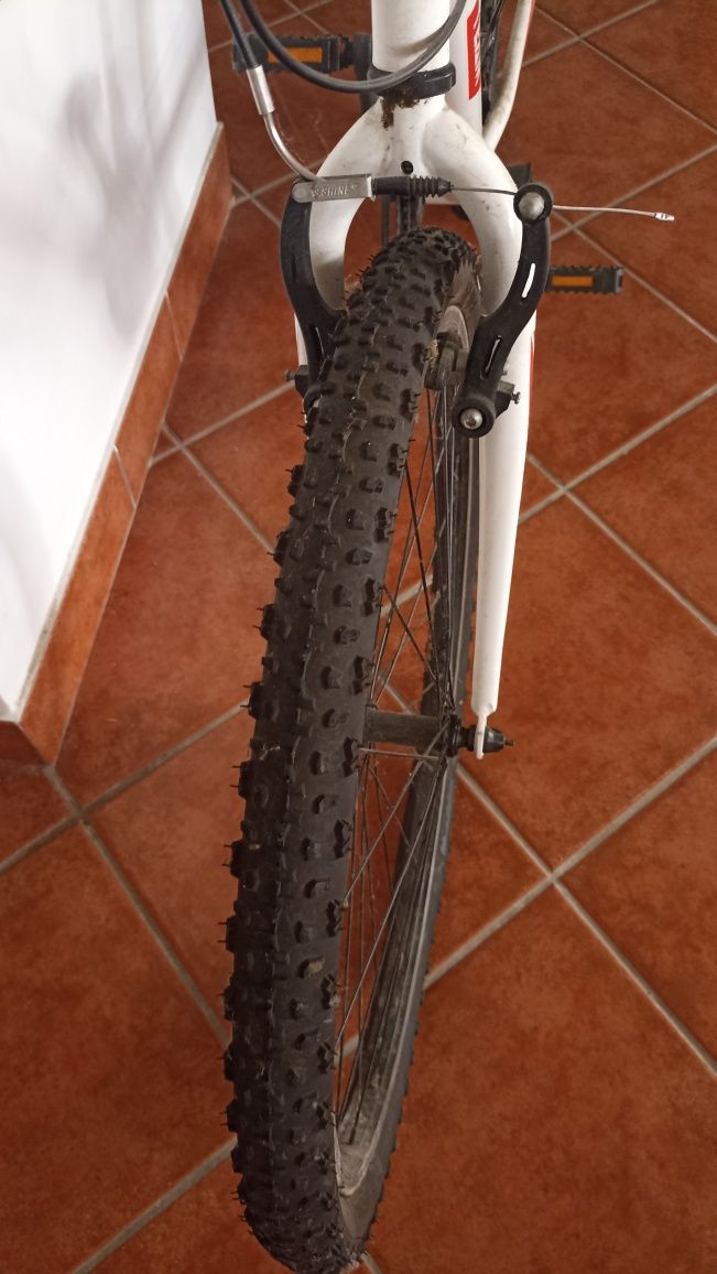 Bicicleta adulto