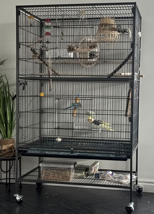 Вольер, клітка для папуг