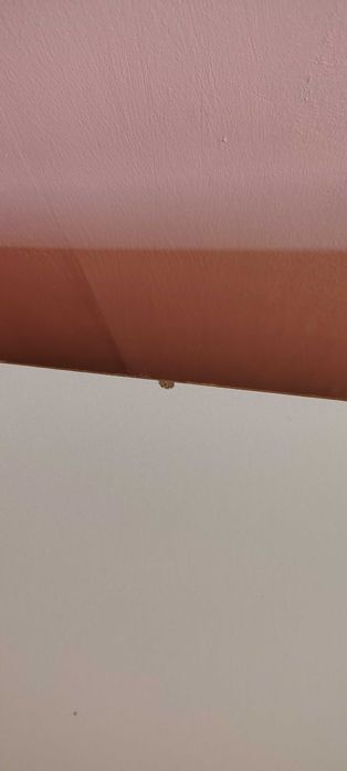 Sprzedam komodę RTV