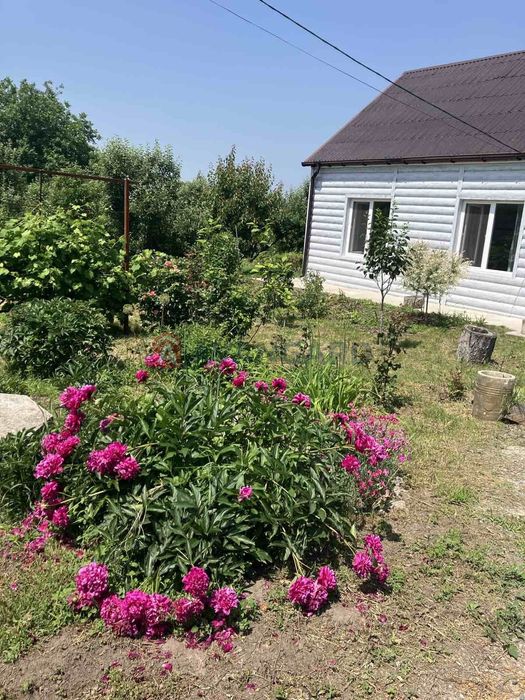 Будинок с.Вільна Тарасівка, Білоцерківського р-н,Без %