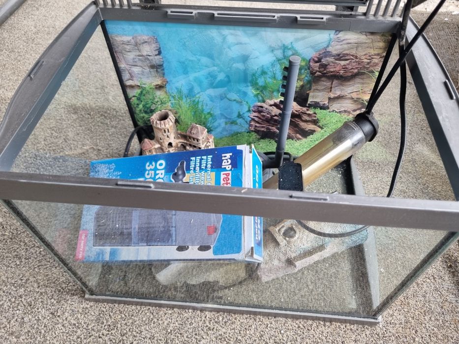Małe akwarium z gratisami