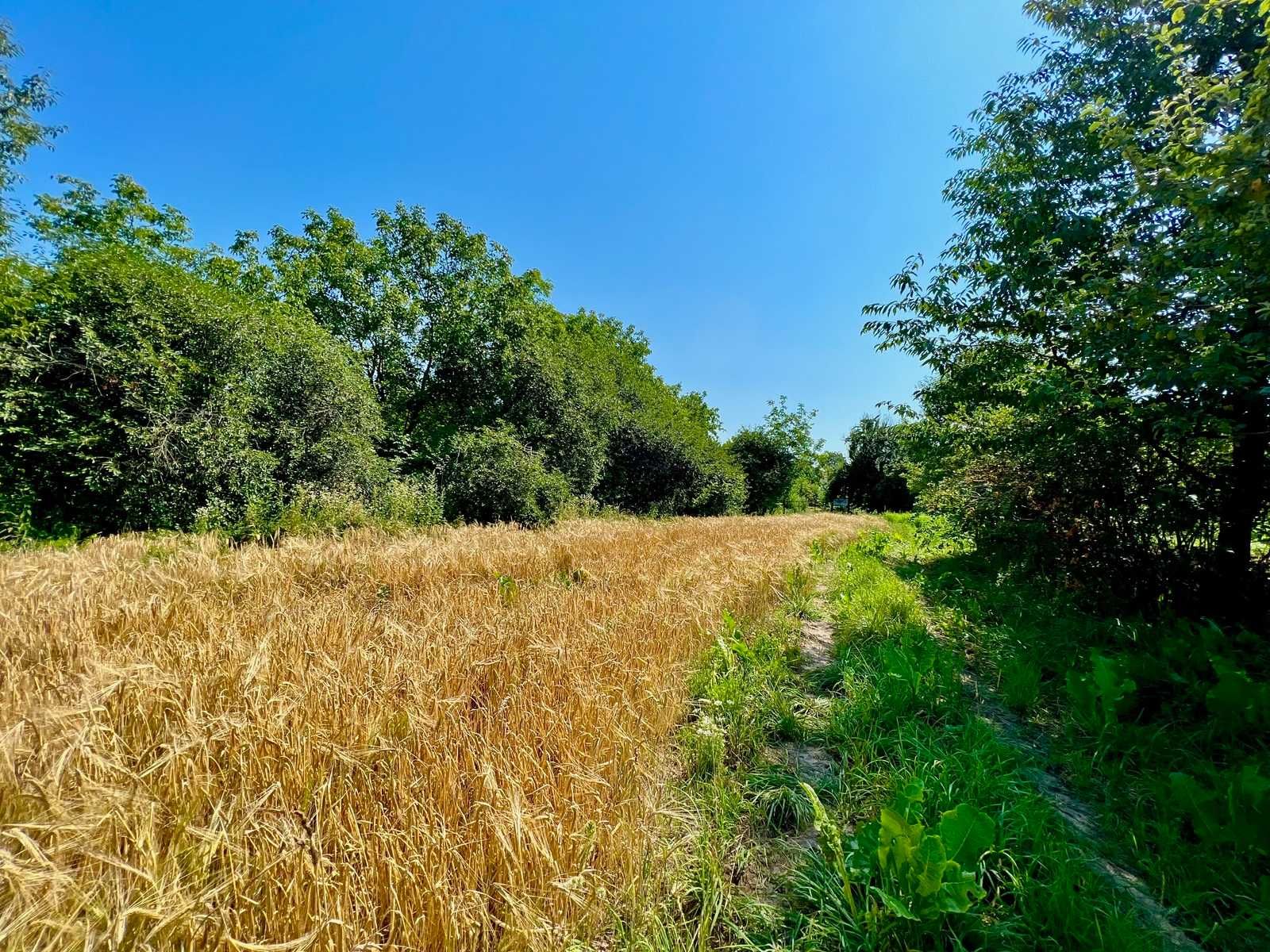 Продається земельна ділянка с. Парпуровці
